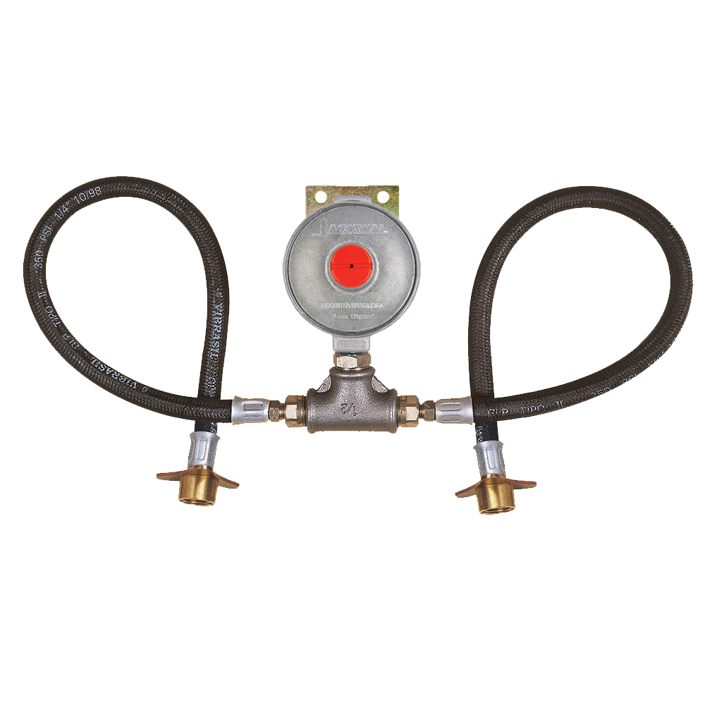 Vazão 7 kg/h – Rosca 3/8” NPT (I)