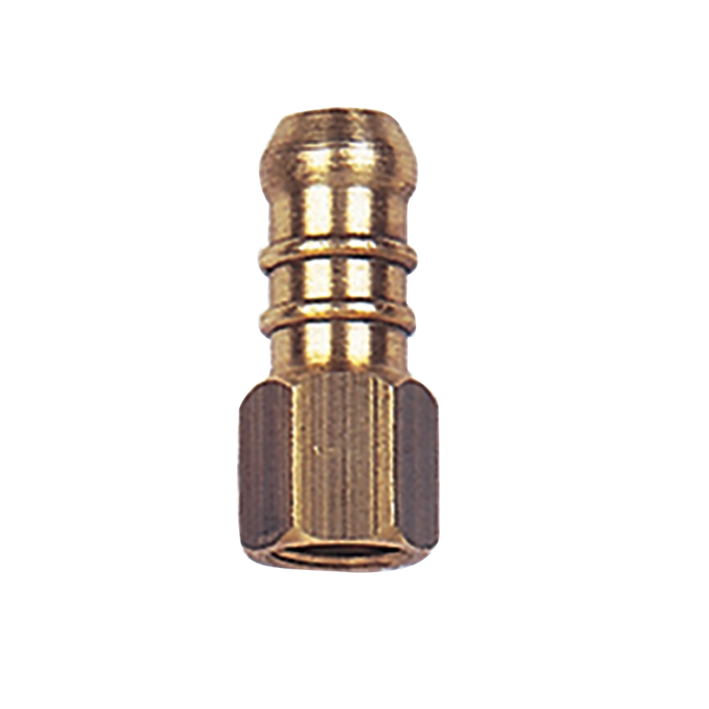 Terminal Mangueira 1/8 NPT [I] x TM 3/8 EC5